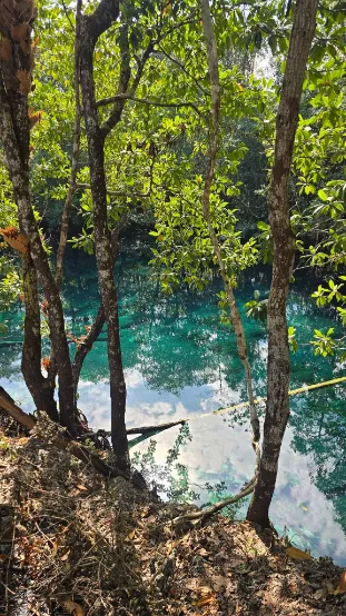 Moko Panjang Nature Discovery